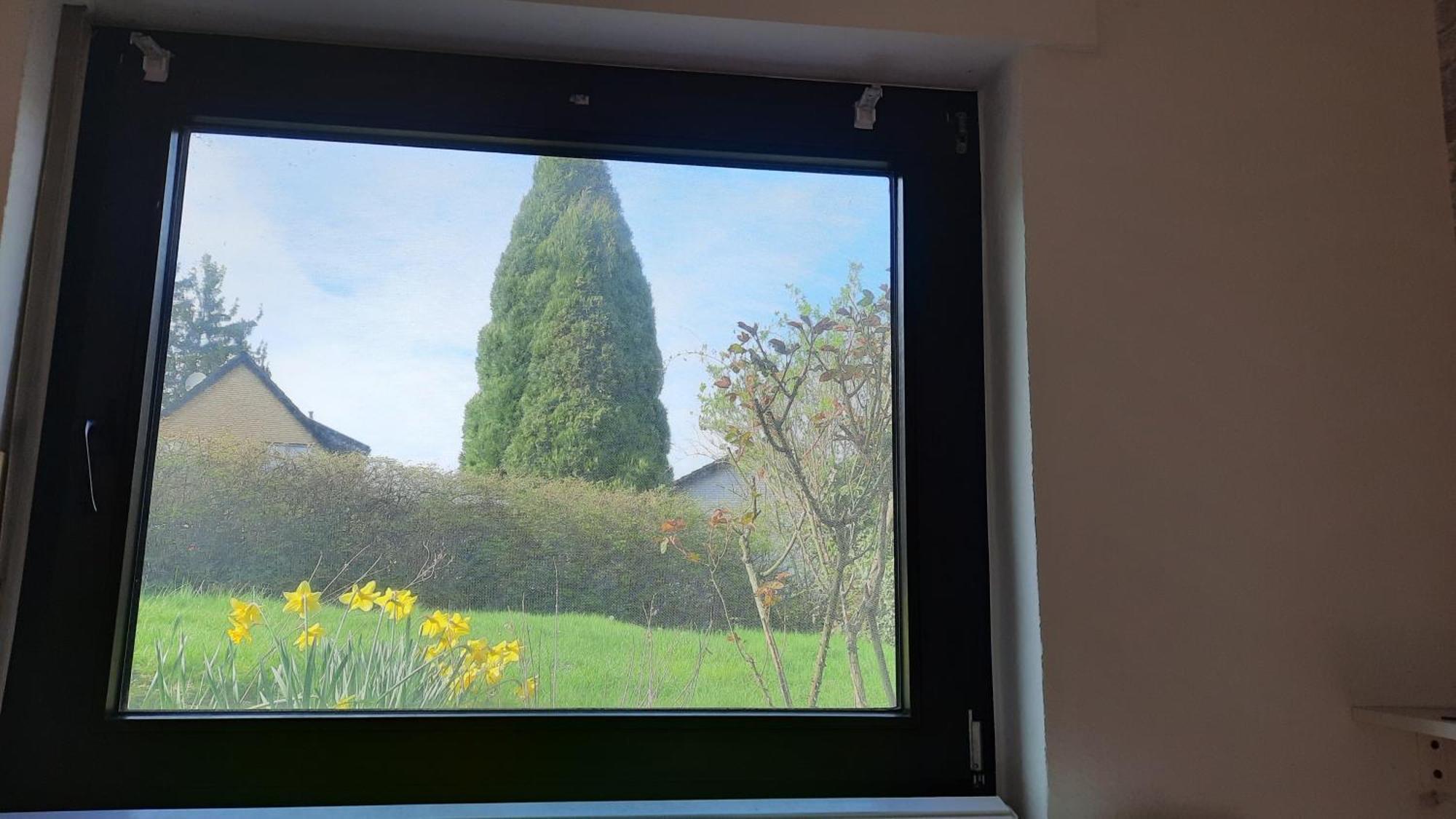 Kleine Ferienwohnung In Ruhiger Lage 헤르조겐라트 외부 사진